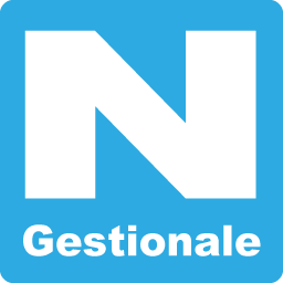 Logo del gestionale Neta per fatturazione elettronica e magazzino
